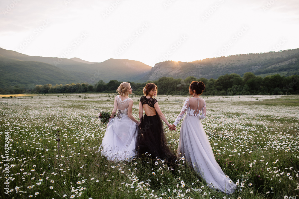 three beautiful girls brunette and blonde, brown-haired woman enjoying Daisy field, nice long dresses, pretty girl relaxing outdoor, having fun,happy young lady and Spring green nature,harmony concept