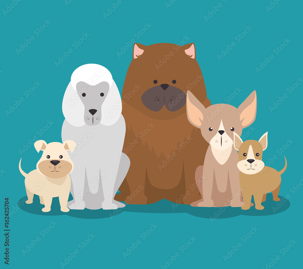 cute puppy dog cartoon vector illustration graphic design cute puppy dog cartoon vector illustration graphic design