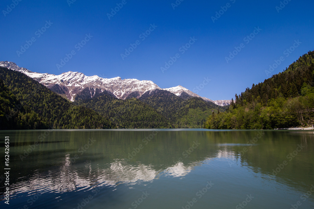 high-mountain lake among the forest on the background of snow-covered mountain range