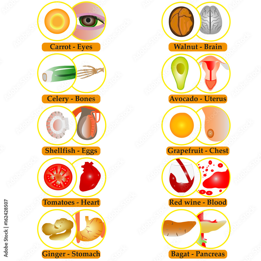 Vector images of products similar to human organs. Products that provide some human organs with nutrients.
