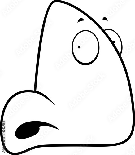 Cartoon Nose