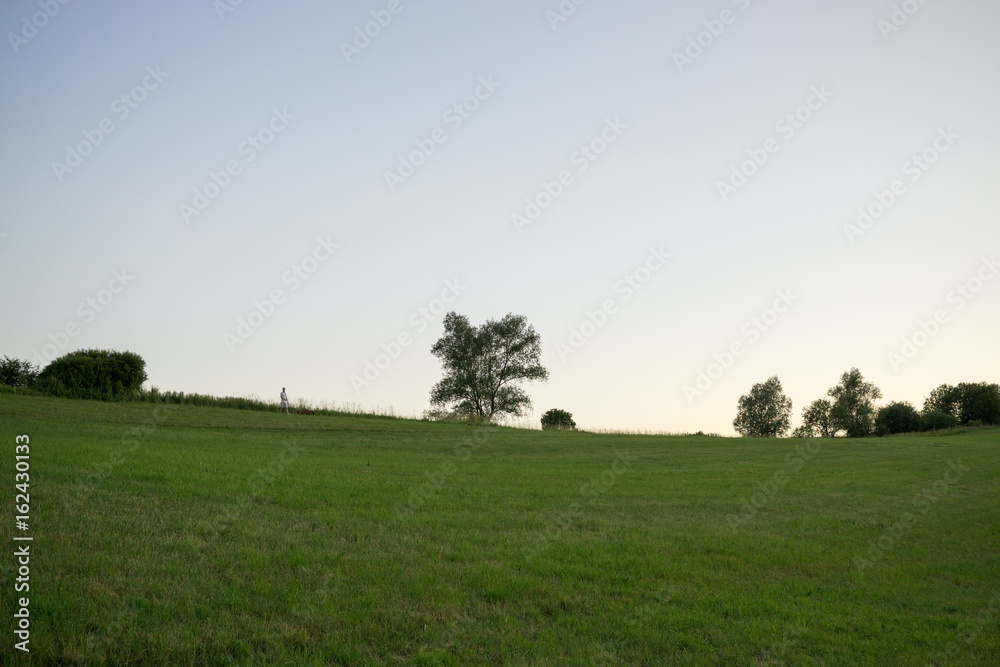 Green meadow with trees and views to mountains. Slovakia Green meadow with trees and views to mountains. Slovakia
