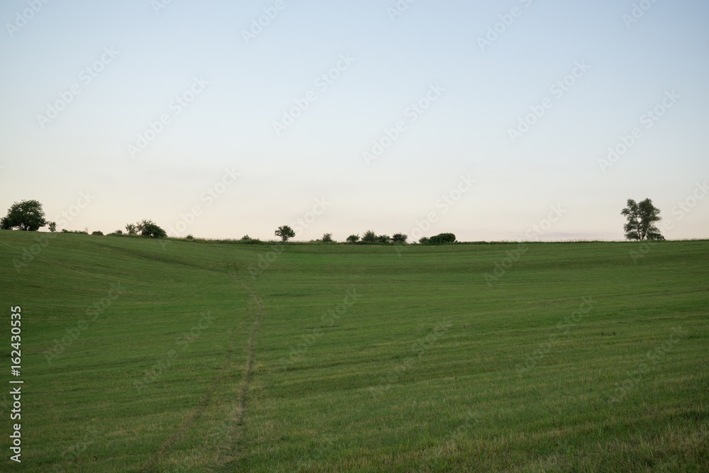 Green meadow with trees and views to mountains. Slovakia Green meadow with trees and views to mountains. Slovakia