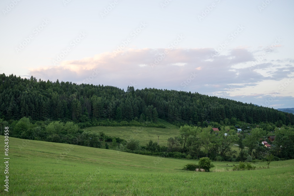 Fototapeta premium Green meadow with trees and views to mountains. Slovakia