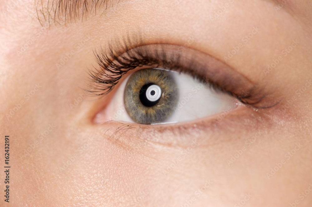 Fototapeta premium Closeup shot of female eye with day makeup