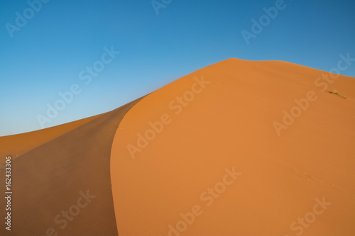 Golden dunes of Erg Chebbi, Morocco