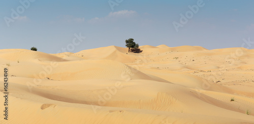 Arabian desert in Dubai