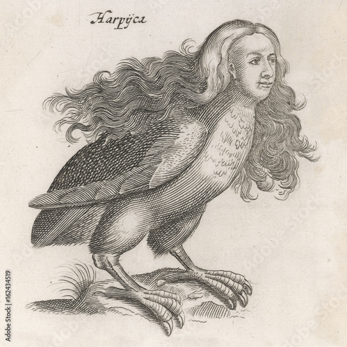 Harpies - Johnstone. Date: circa 1650