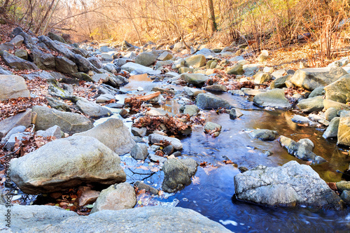 Minnehaha Stream - Bethesda, Maryland