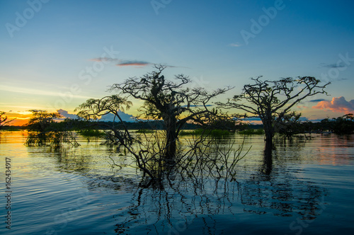 Trees silhouetted against an orange sky at sunset over Laguna Grande in the Cuyabeno Wildlife Reserve National Park, in Ecuador photo