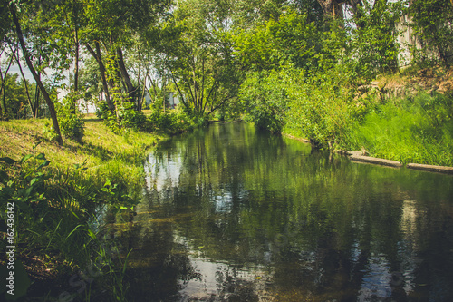 Landscape with a river in the sun in the forest
