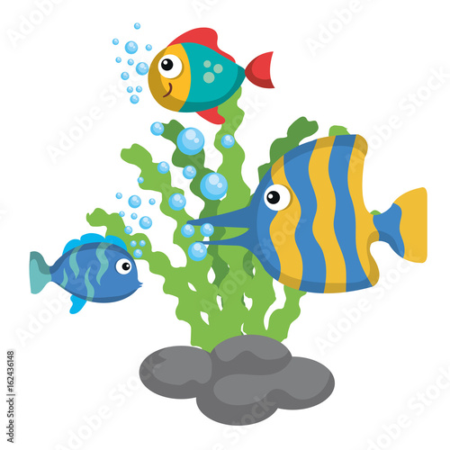 Sea life design with fish and algae over white background vector illustration 