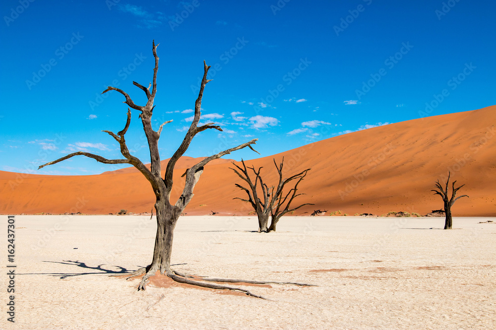 Stunning Deadvlei near Sossusvlei, Namibia Stunning Deadvlei near Sossusvlei, Namibia