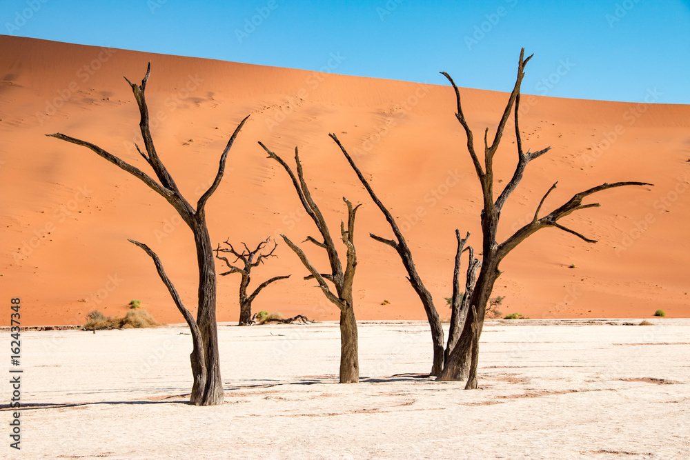 Stunning Deadvlei near Sossusvlei, Namibia Stunning Deadvlei near Sossusvlei, Namibia