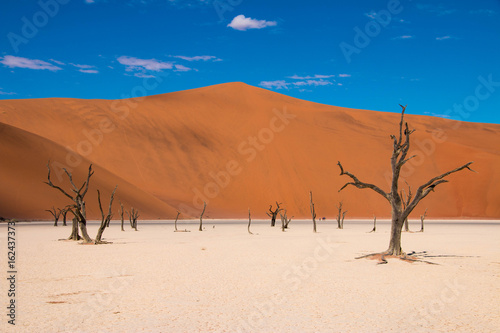 Stunning Deadvlei near Sossusvlei, Namibia