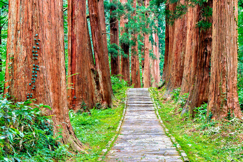 Mount Haguro in Yamgata Prefecture photo