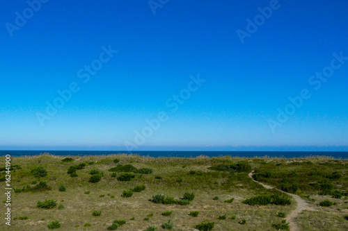 Green Dune