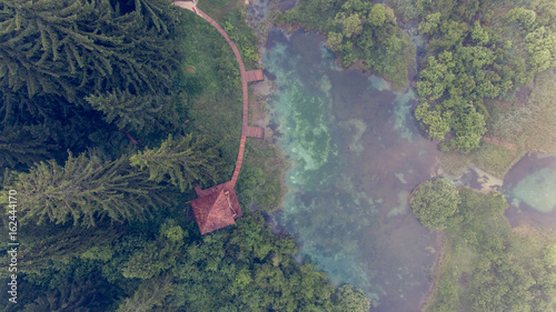 Aerial view of a forest with lake. photo