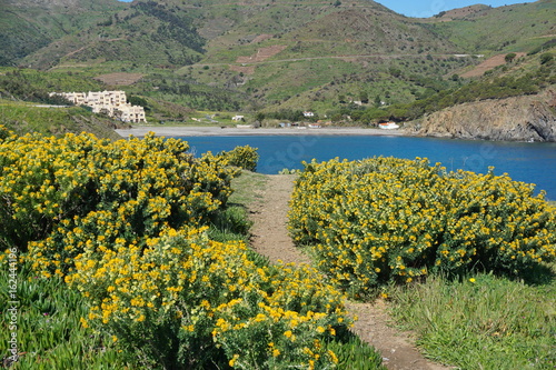 Coastal footpath leading to the pebble beach of Peyrefite, Mediterranean sea, south of France, Pyrenees Orientales, Roussillon, Cote Vermeille photo