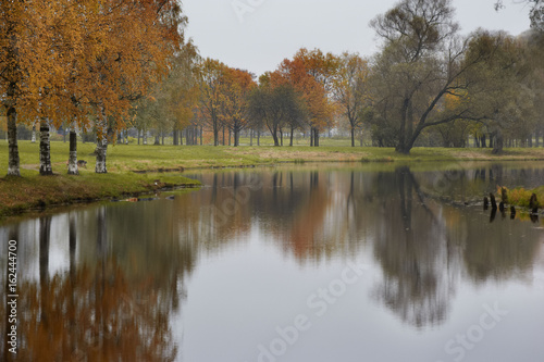 Rainy landscape in autumn, birch trees and reflection in water