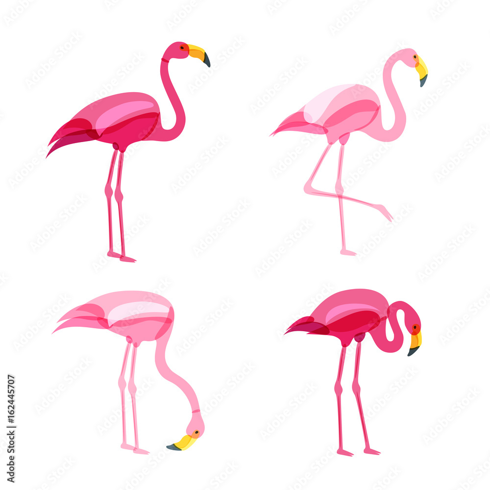 Obraz premium Pink flamingo set isolated on white background. Vector hand drawn doodle illustration. Flamingo birds in various poses.