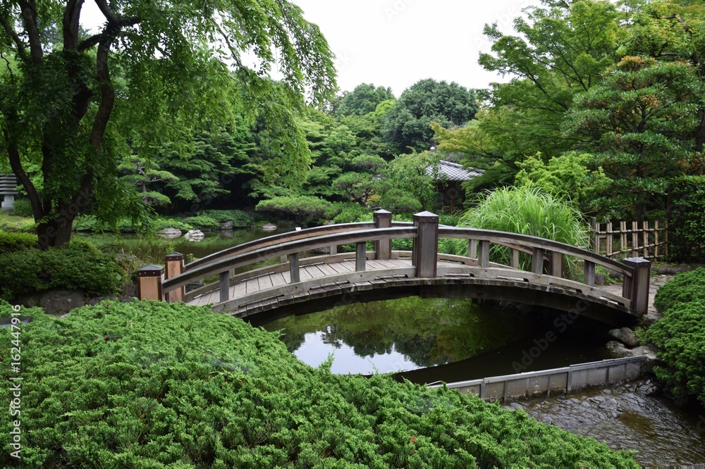 日本庭園/神奈川県平塚総合公園