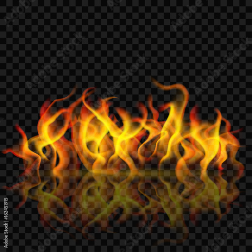 Fire flame with reflection. Transparency only in vector format