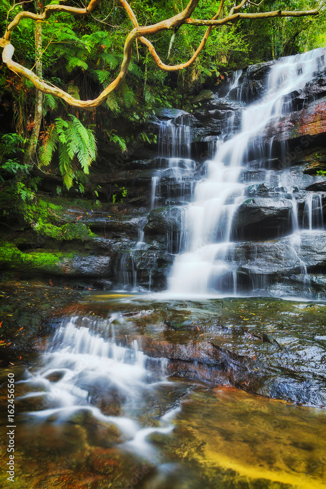 Obraz premium WF Somersby Branch Vert