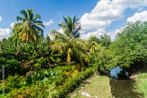 Fototapeta Naklejka Na Ścianę i Meble -  Small creek in Las Tunas, Cuba