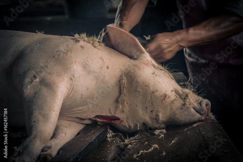 Φωτογραφία Swine slaughterhouse uses hot water for swine breeding in Thailand
