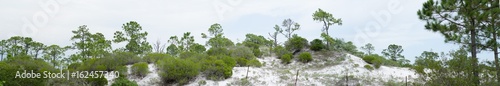 Old Florida panorama