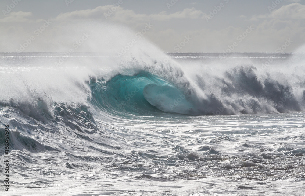 Beautiful Ocean wave in Hawaii