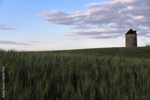 Wheat field and Silo