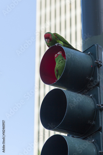 Nature Struggles to Survive