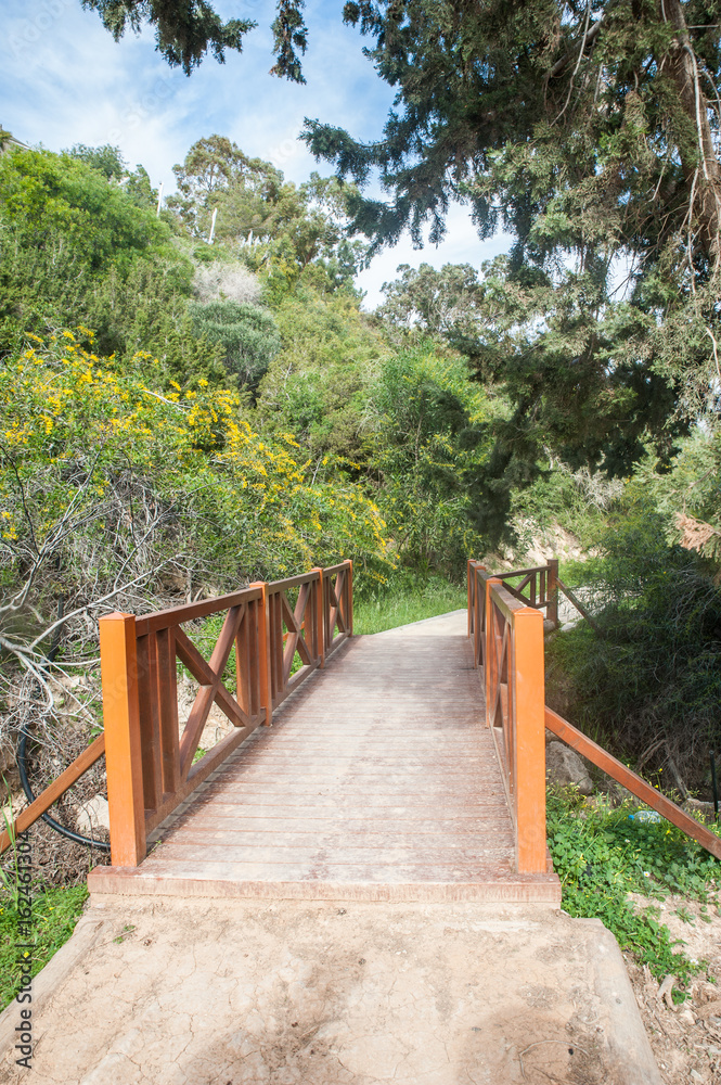  Cyprus. Cape Greco National Forest Park. Wooden bridge