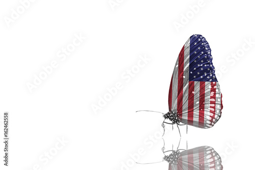 Celebrating the 4th of July, Independence Day background 
