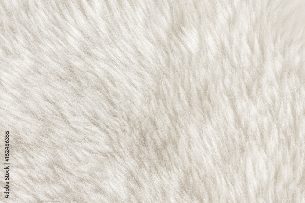 Fur Texture./Fur Texture Fur Texture./Fur Texture