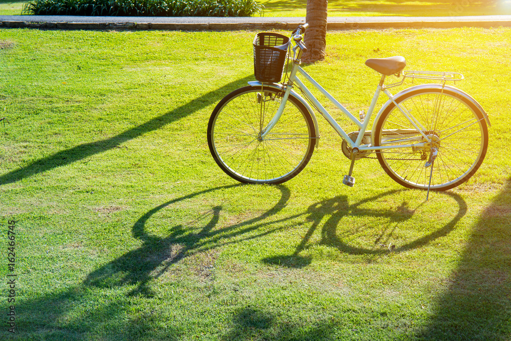 Fototapeta premium Bicycle with shadows on grass