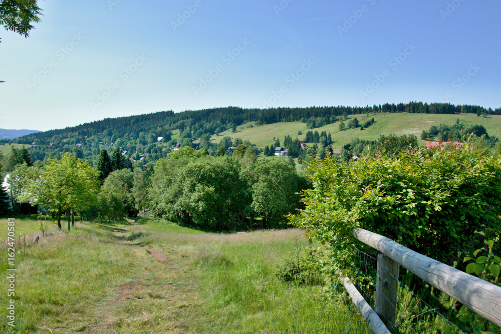 Spring sunny landscape in the mountains