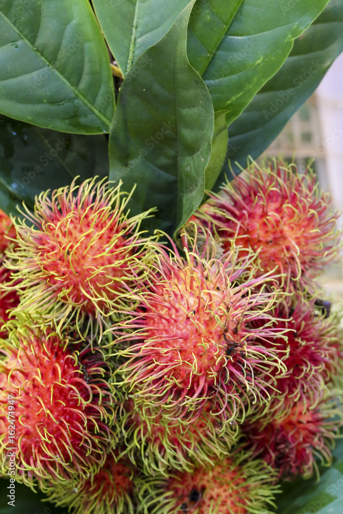 Close up rambutans on shop's display. picture can used banner background or copy space for add text message. Food & drink concept. Close up rambutans on shop's display. picture can used banner background or copy space for add text message. Food & drink concept.