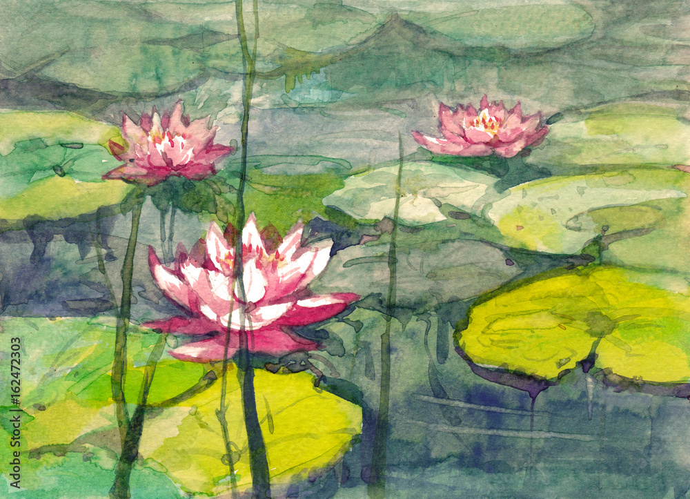 Obraz różowa lilia wodna akwarela ilustracja