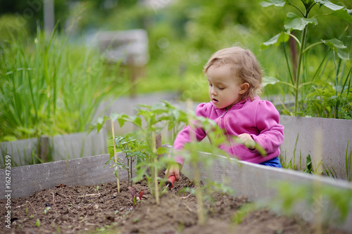 Obraz na plátně The little girl processes beds on a kitchen garden