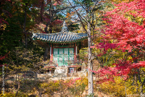 Autumn season in South Korea