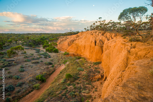 Australian outback landscape at sunset. South Australian rural scenery.