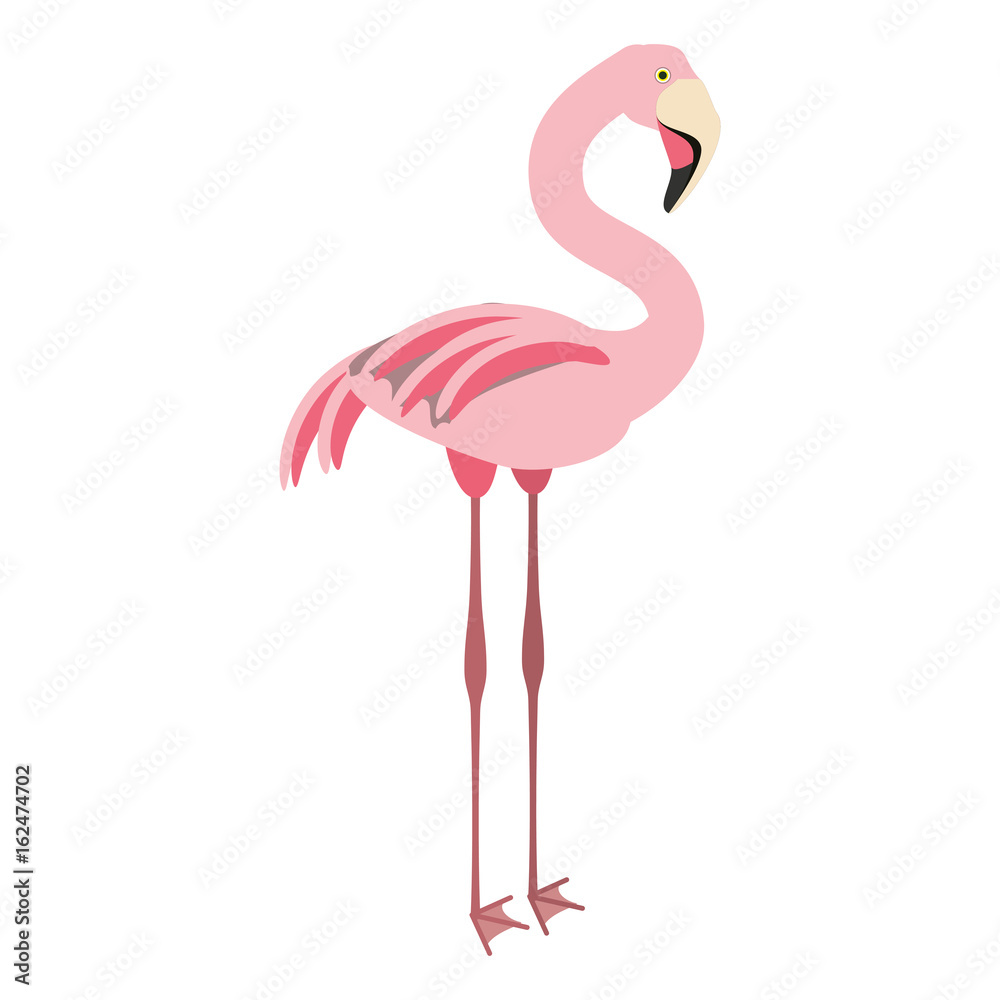 Fototapeta premium isolated cute flamingo icon vector illustration graphic design
