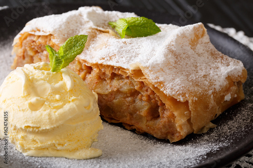 Austrian traditional apple strudel with ice cream and mint closeup. Horizontal