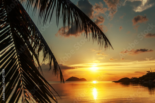 Magnificent beautiful bright tropical sunset, sun, palms, sandy beach © olezzo