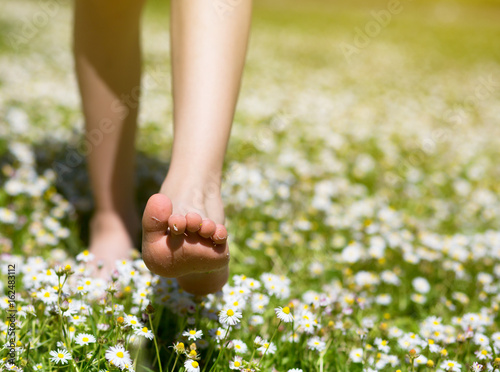 Photography Child's feet in daisy closeup view