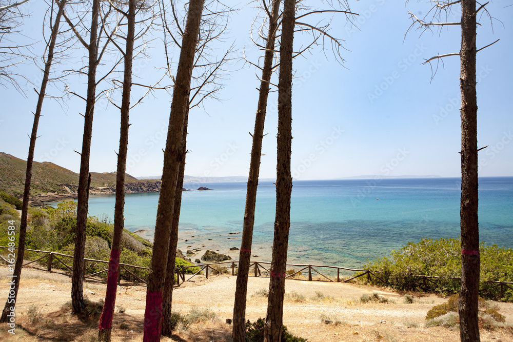 Pineta porto Flavia Pineta porto Flavia
