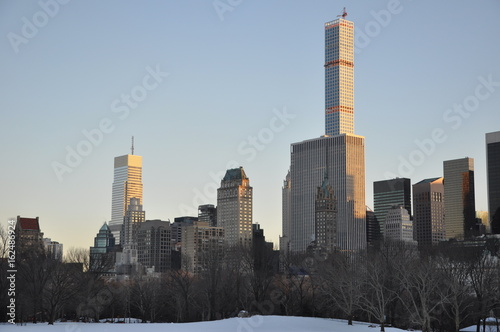 New-York winter Central Park